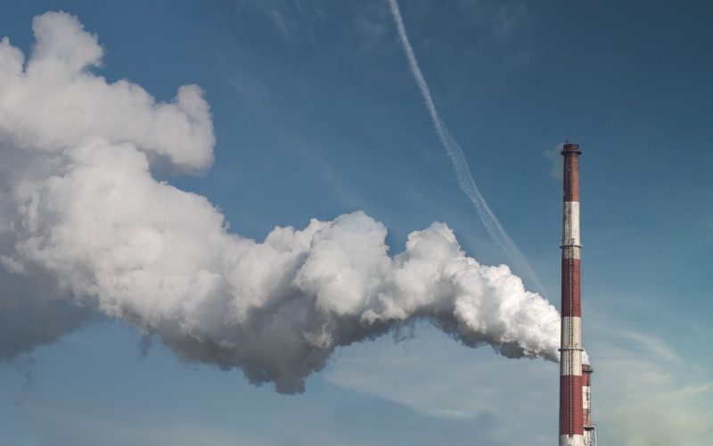 Jet privé Bernard Arnault : pollution, chiffres et réalité en 2026